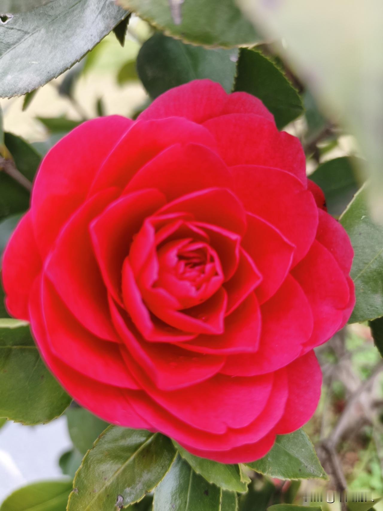 千万不要提前恐惧，事情会以奇怪的方式解决。不要提前焦虑，也不要预知烦恼，生活就是