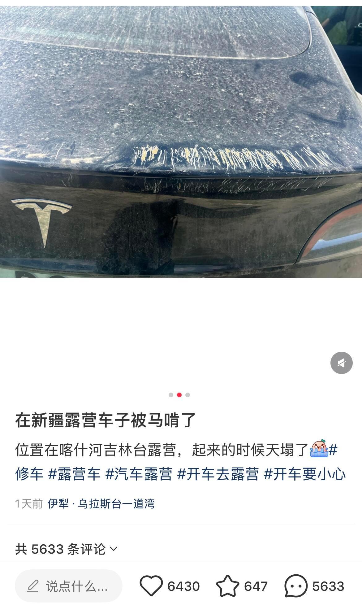车子被马啃了，赐名：Tesla-Macan🐴 ​​​