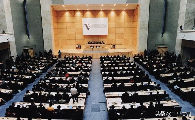 喀麦隆是今年WTO部长会议的主办国，台当局派人参加，看到签证国籍栏被标为“台湾，