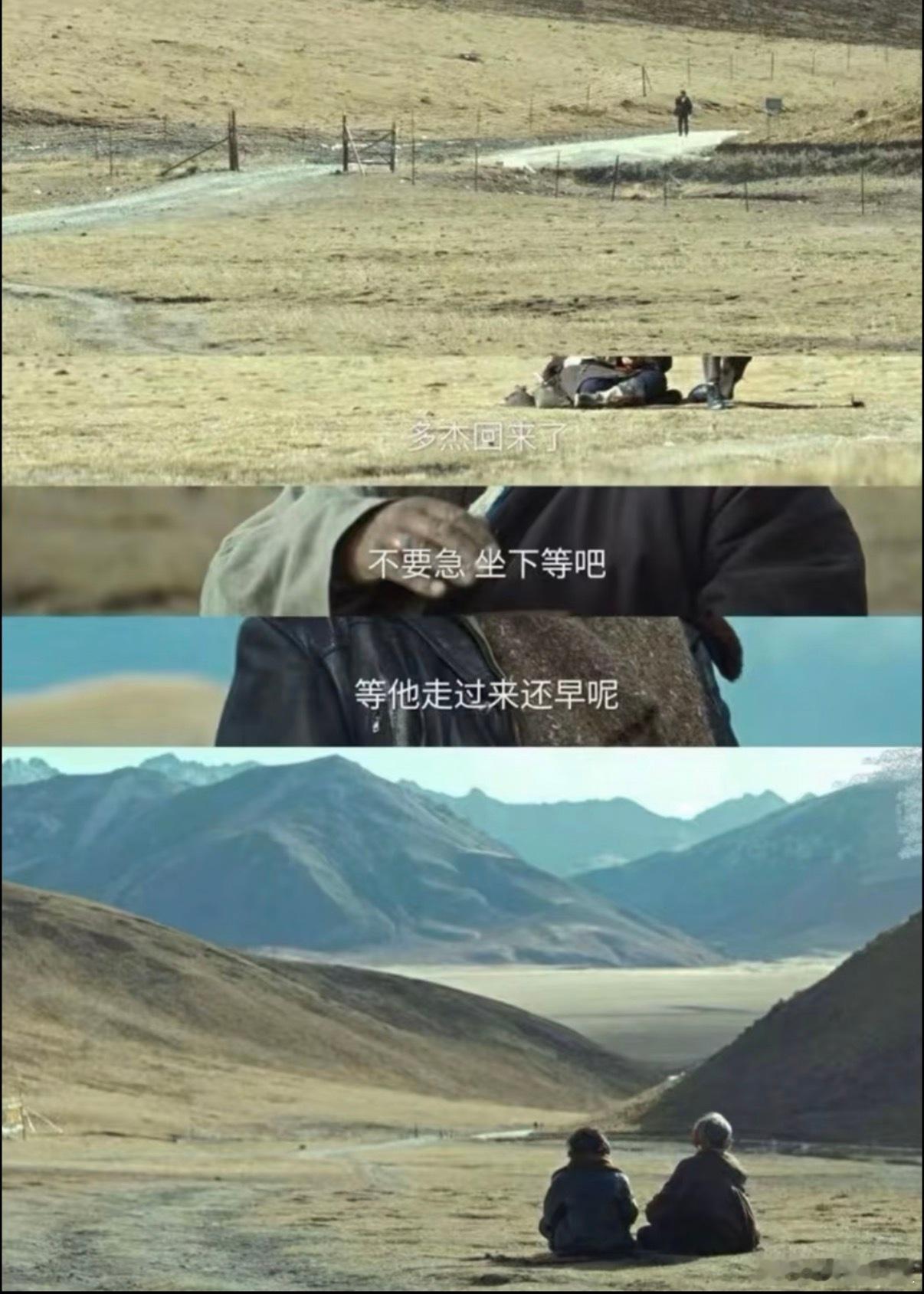 生命树不刻意渲染苦难 它用最温柔的方式讲最厚重的故事🥰🌿，不刻意卖惨、不强行