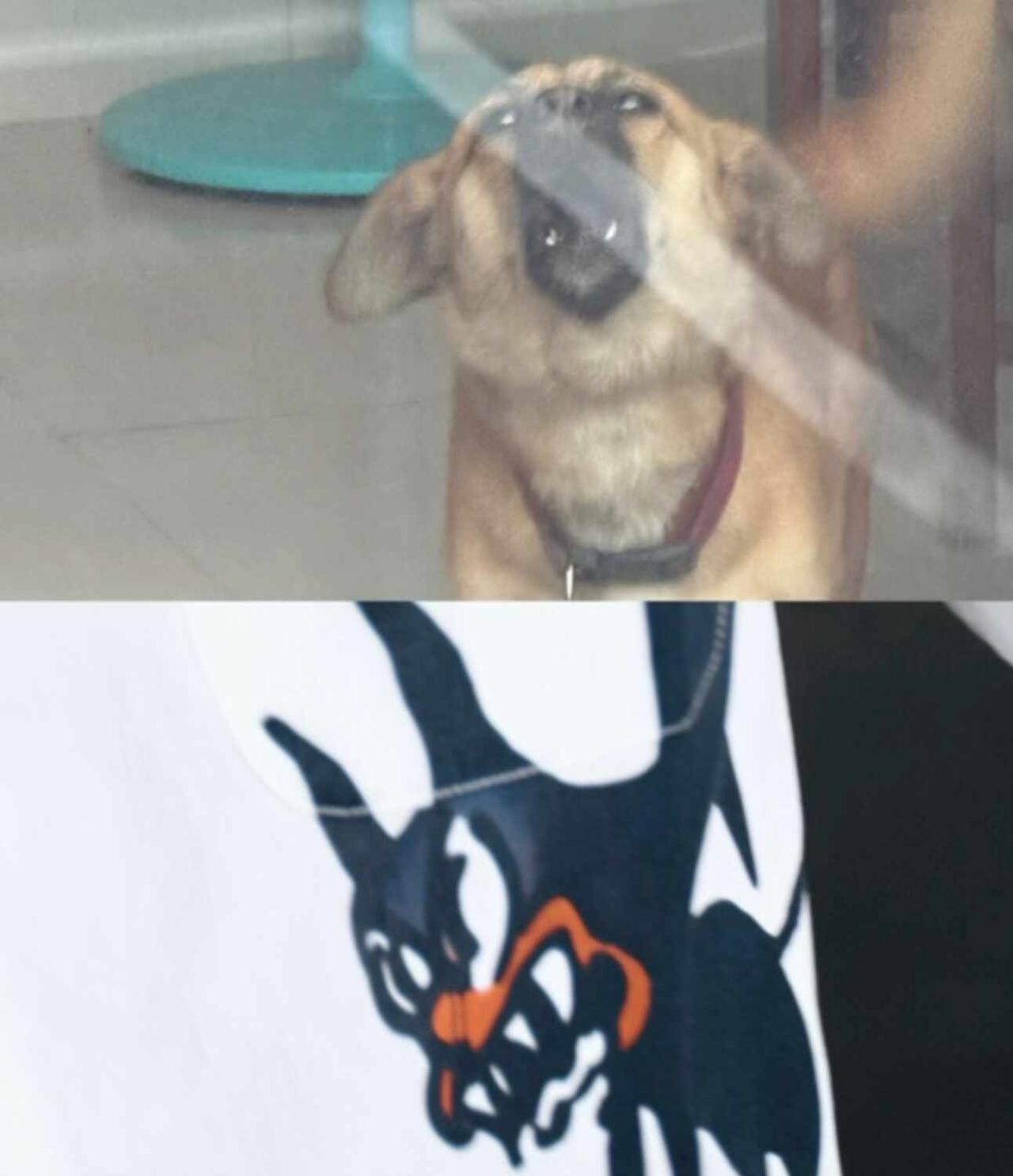 原来同一件⌚️
为了你我变成狼人模样就说像不像  没有tag