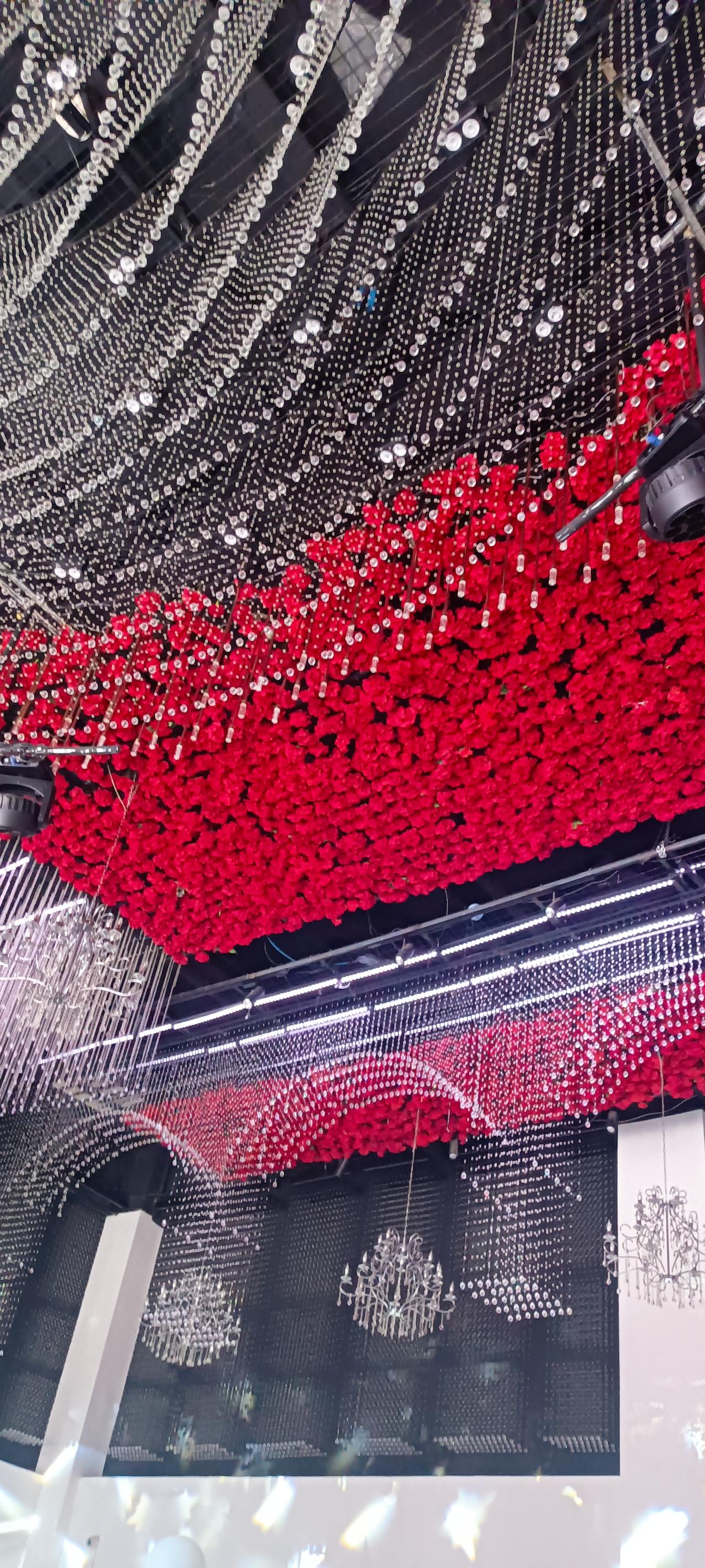 一大早我就写了小作文，今天去参加婚礼，一个三十岁的小伙子，娶了个四十岁的媳妇，把