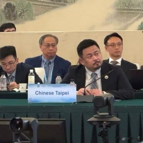 怎么办？青鸟看过来！就是中国台北啊！上次不是出征蒋万安妻子石舫亘说“Chines
