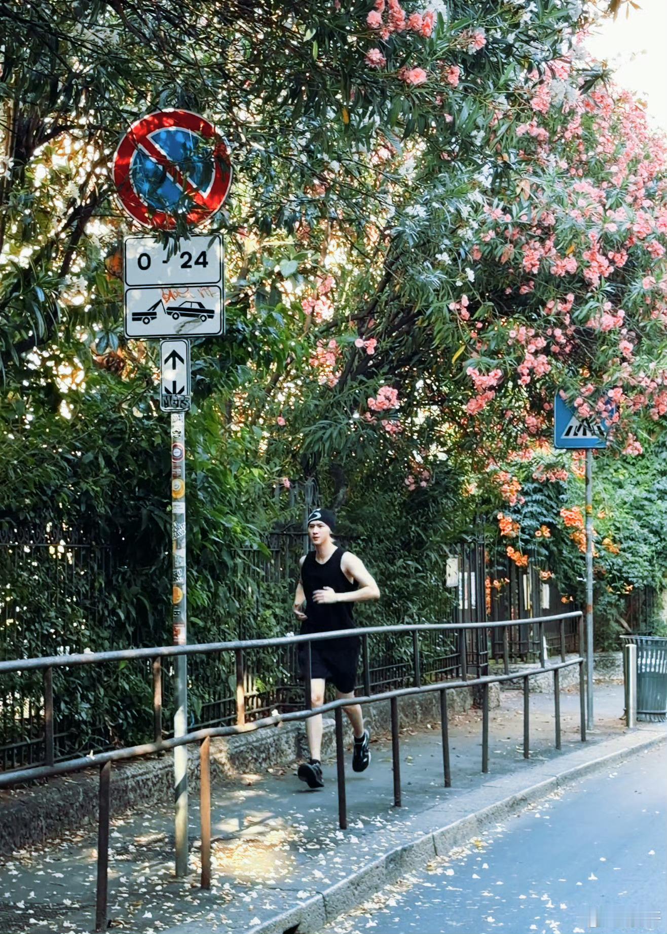 粉绿黄色蓝色 