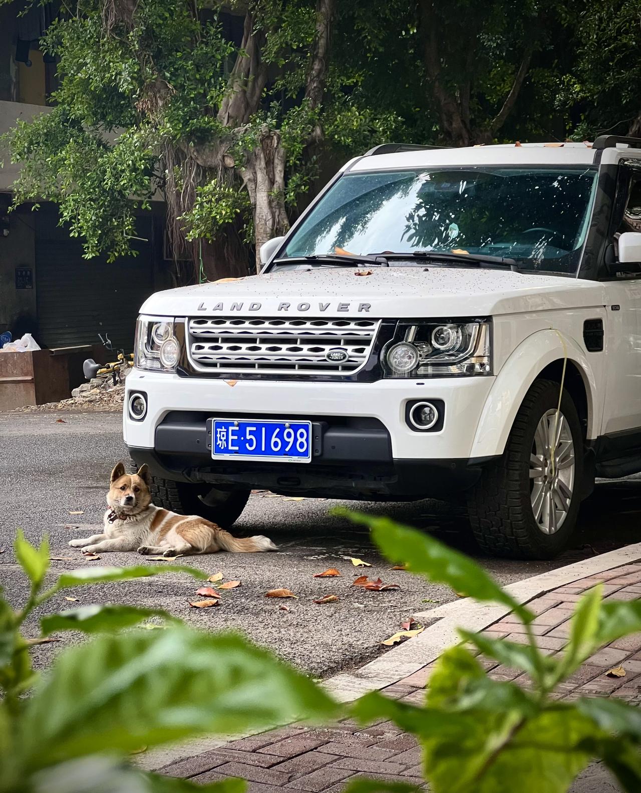 有能力的时候就买一台车吧，起码他会一直静静地在原地等你