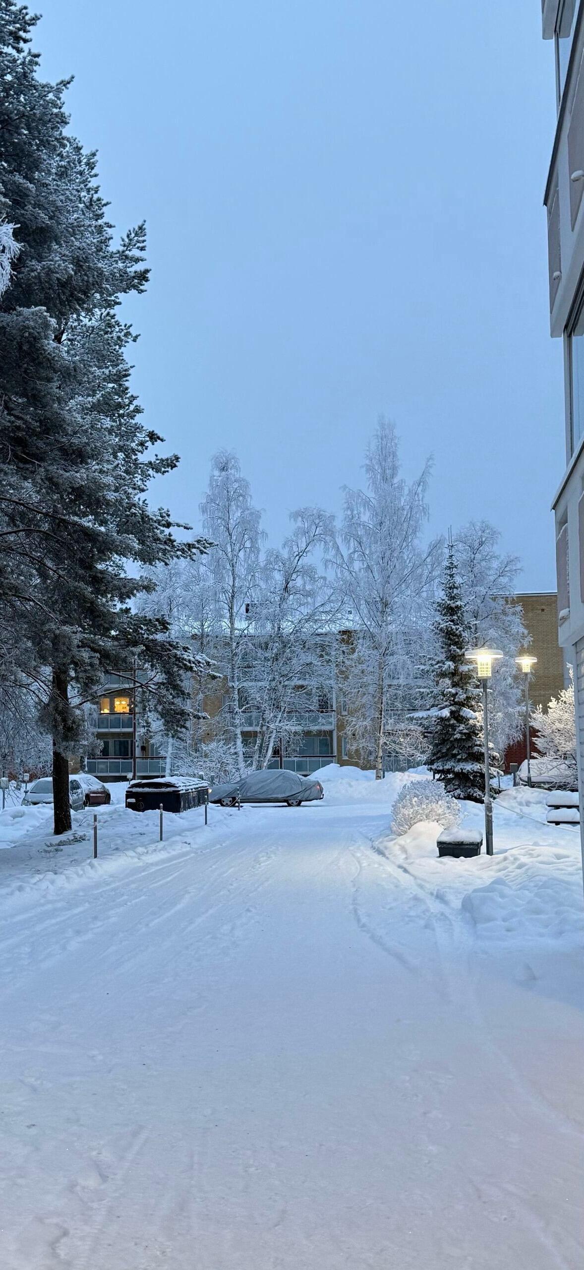 𝐒𝐡𝐚𝐫𝐞丨ins氛围雪景壁纸❄ ​​​