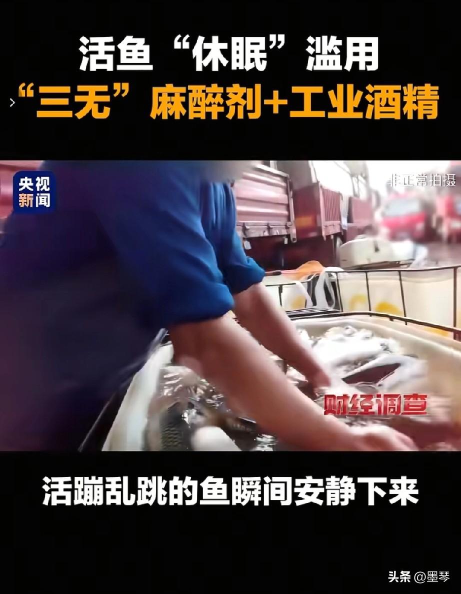 你喜欢吃鱼吗？吃了鱼是不是就觉得浑身舒坦了？腰也不酸了，腿也不疼了？吃完还想吃？