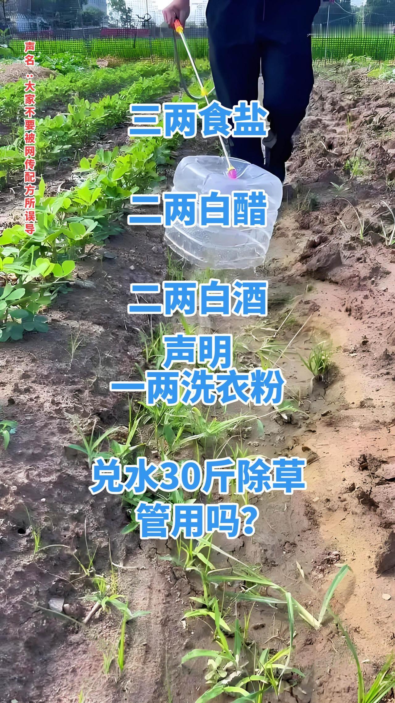 这个除草剂小配方在网上传播了很长一段时间了，而且播放量很高，但不建议大家大面积使
