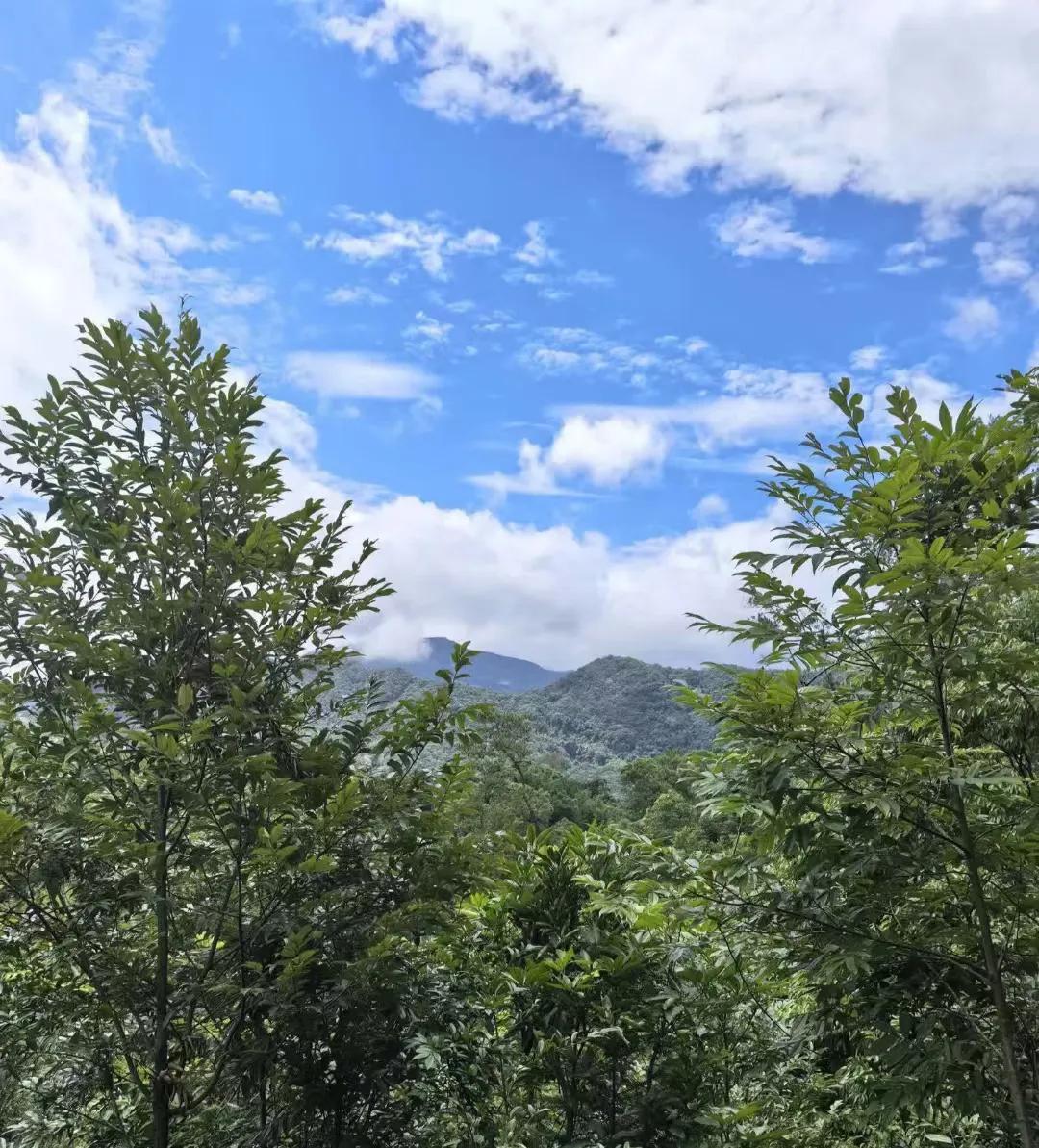 谁能介绍个好中医给我：胃病多年，去年6月做胃镜检查萎缩性胃炎C1+中度肠化，之后