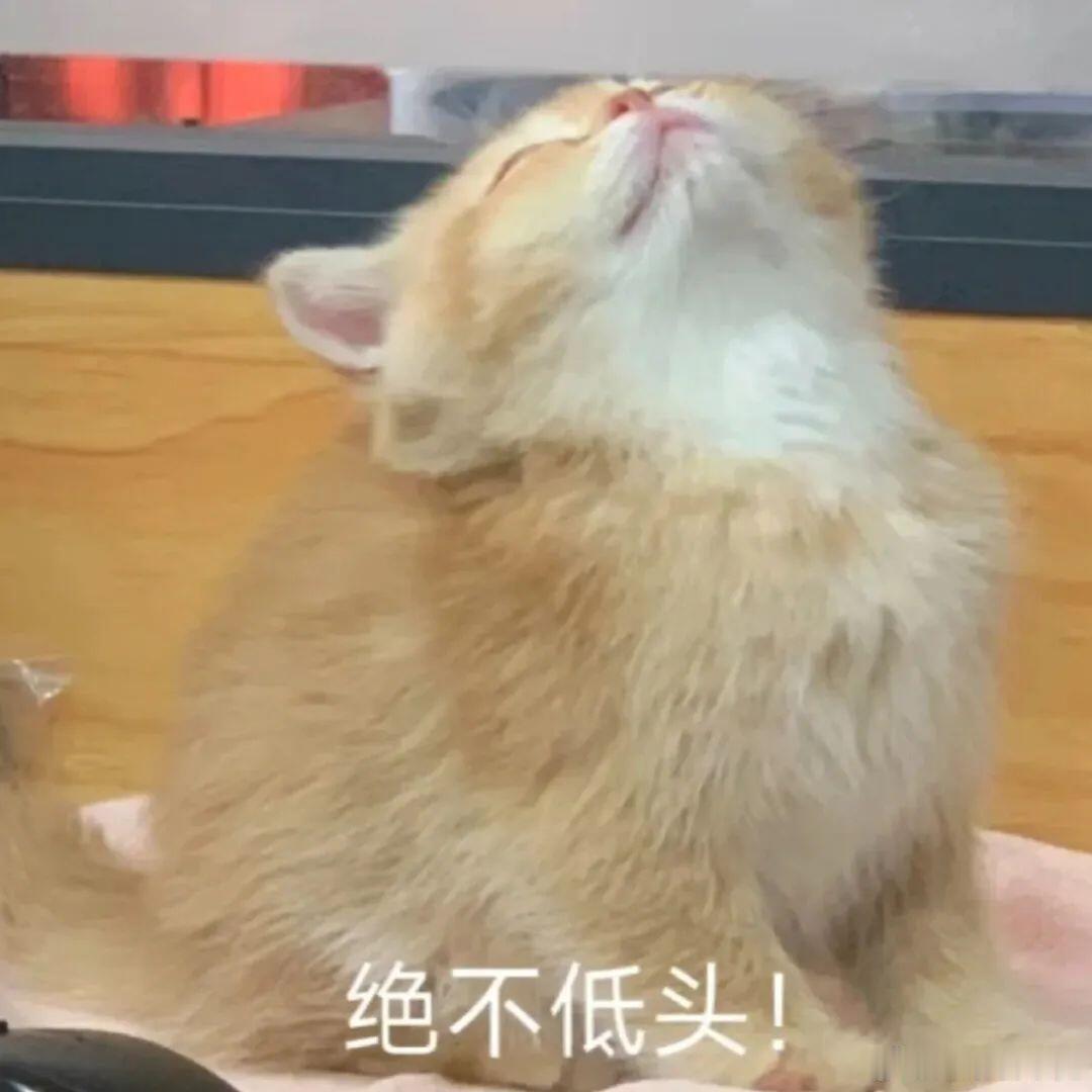 微信能不能别给表情取名字了一直觉得微信很有自己的想法，每次选表情包都会纠结再三后