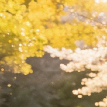 拒绝无效熬夜，运动人就要有规律的作息，明早还要去公园跑步。 