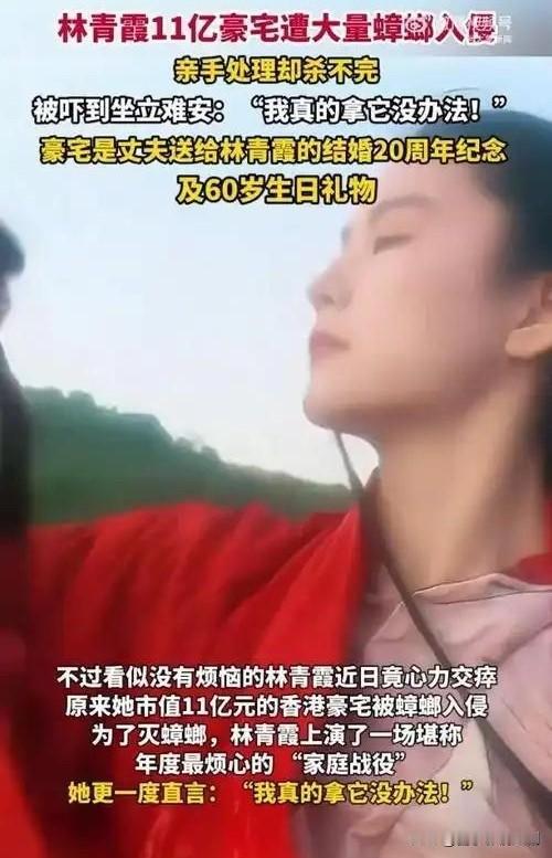 炸锅！林青霞自曝豪宅被蟑螂“攻陷”！

家人们，娱乐圈又爆大猛料！林青霞竟自曝自