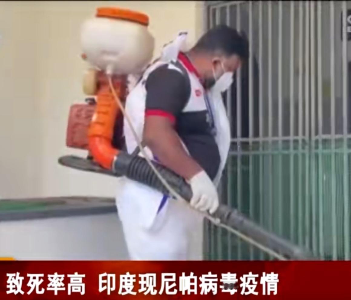 印度多地暴发尼帕病毒疫情，这种病毒致死率极高，已引发当地高度警惕。街头可见警方严