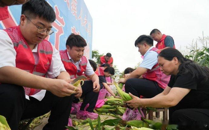 台州助残玉米装满全城温柔爱心市民踊跃认购残疾人种植的玉米，大家争相下单奉献爱心，