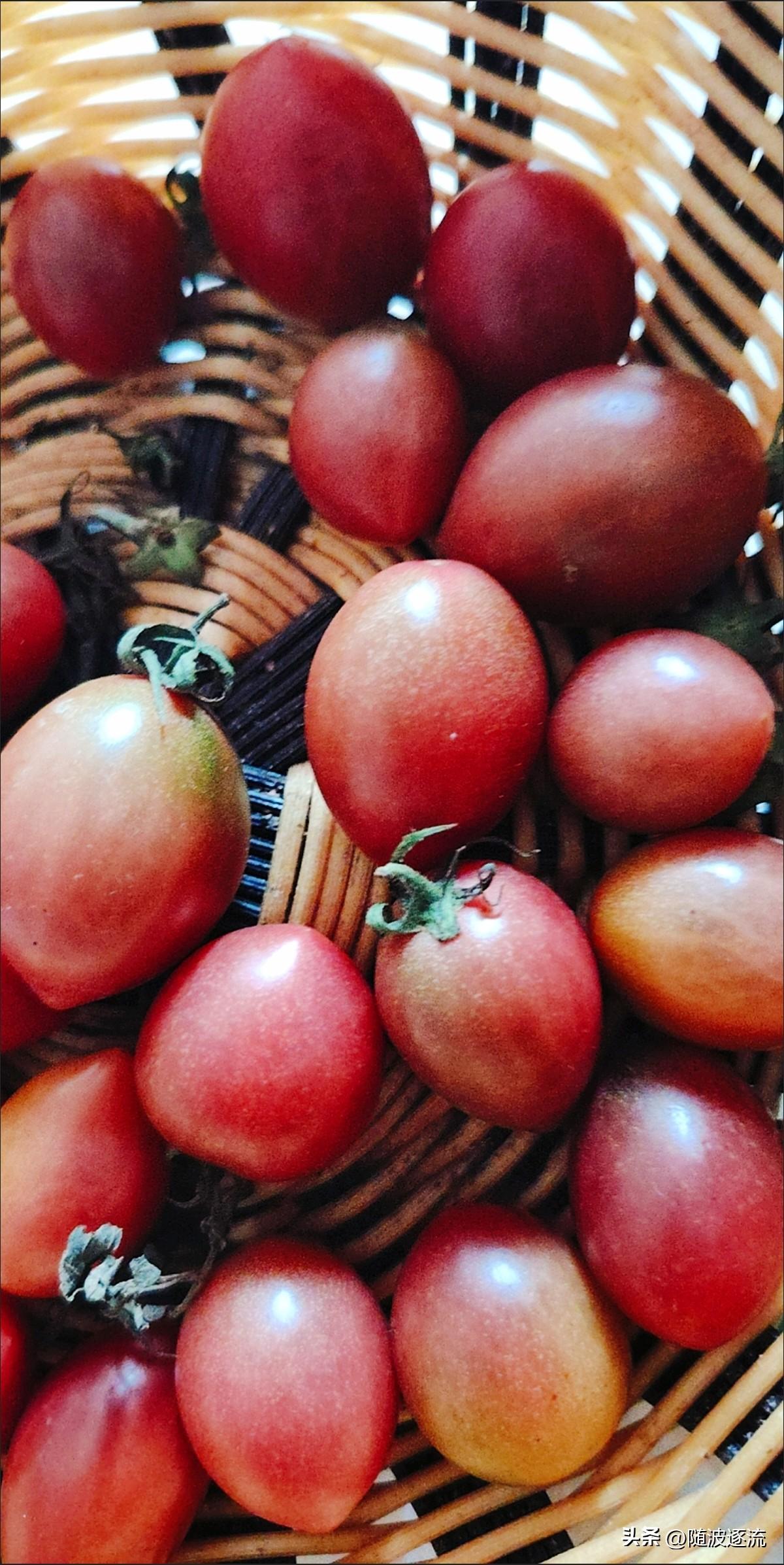 唉，天生就是个软柿子怎么办？