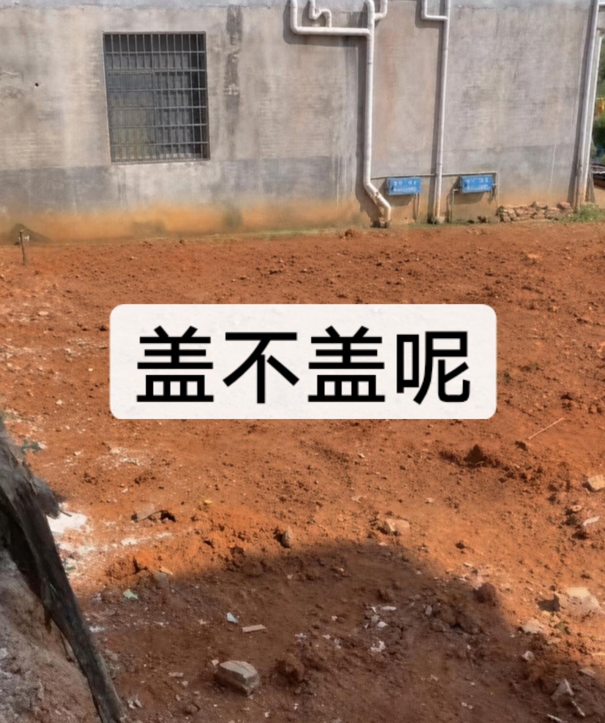 问大家一个问题：老家的房子，到底盖还是不盖啊？真的好纠结啊！

盖吧，平时门锁一