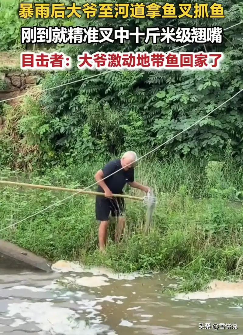 安徽滁州，男子和朋友大雨过后钓鱼，守半天一口没有。转头看见路边大爷玩鱼叉，本来满