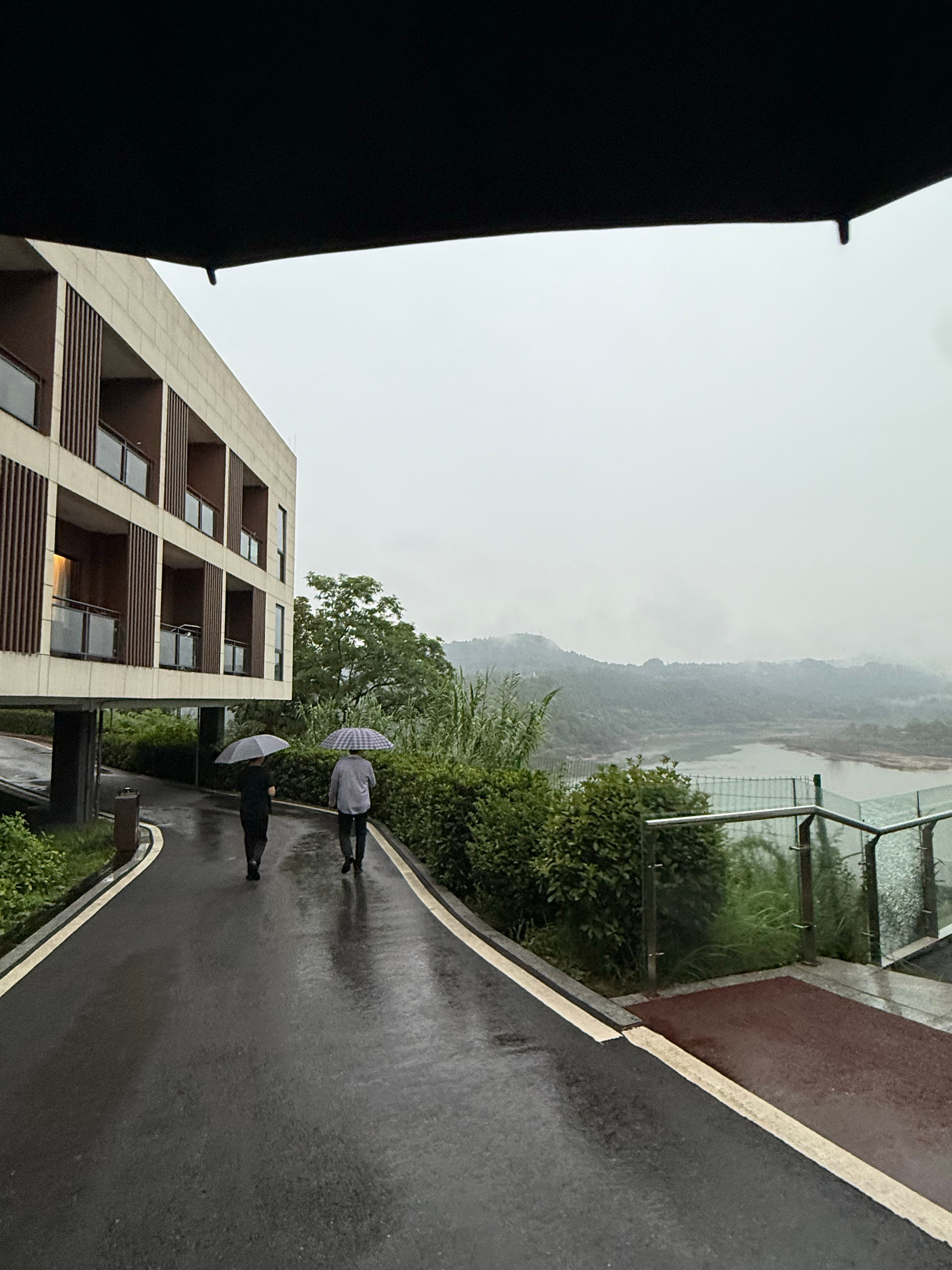 感觉像在深山老林里修炼 ​​​