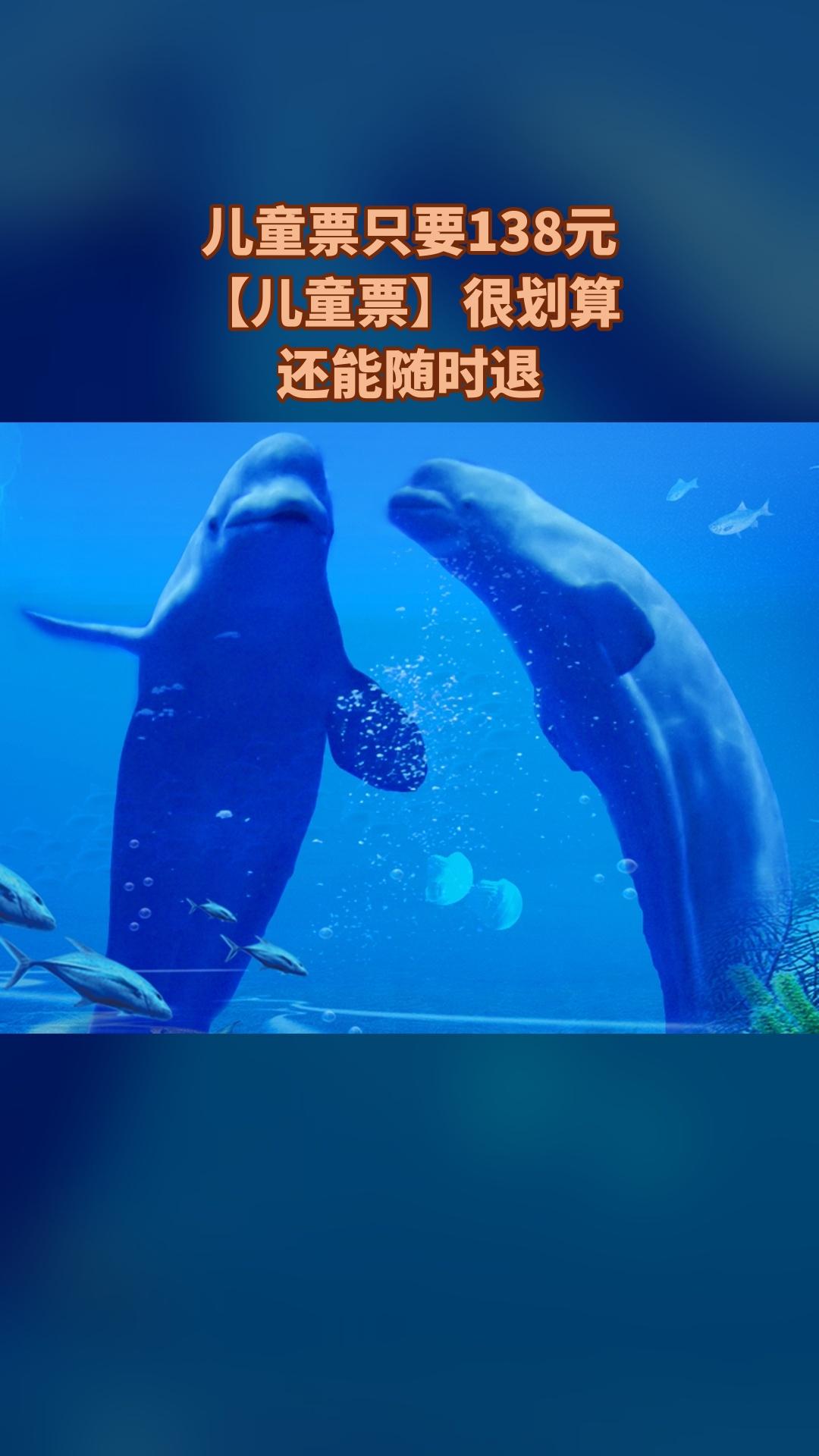 冰雪海洋世界，新鲜上架，别错过，【儿童票】，景区官方、随时退·过期退