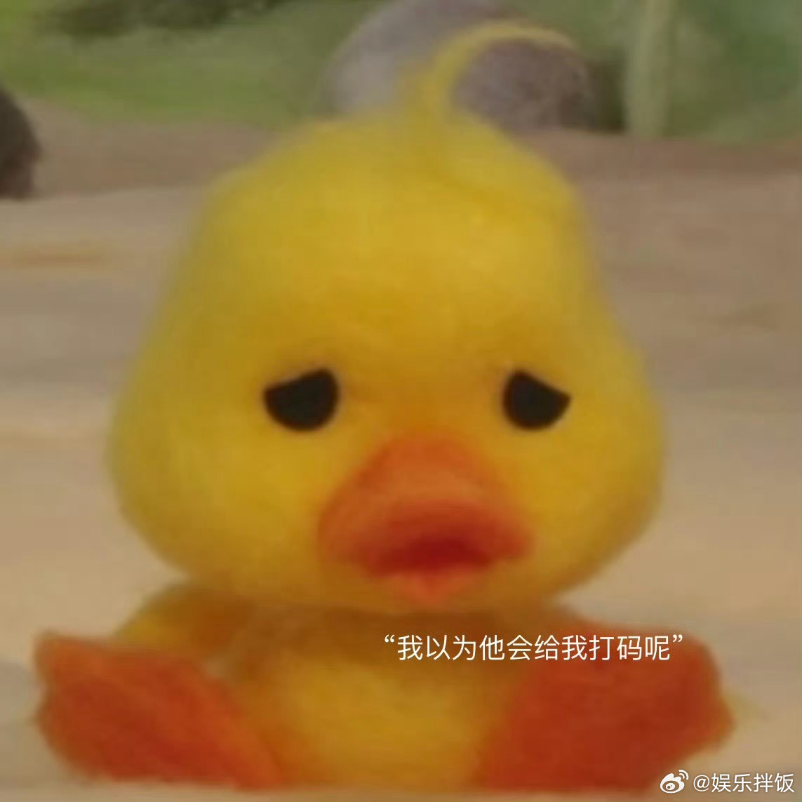 娱乐拌饭丁程鑫说以为会给我打码丁程鑫好久没吃好吃的了 何老师问丁程鑫光膀子游泳的