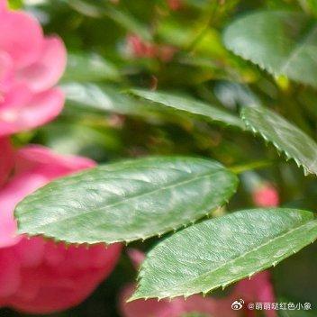 把烦恼丢在风里，将快乐装进行囊。且停且忘且随风，且行且看且从容。岁月静好，时光温