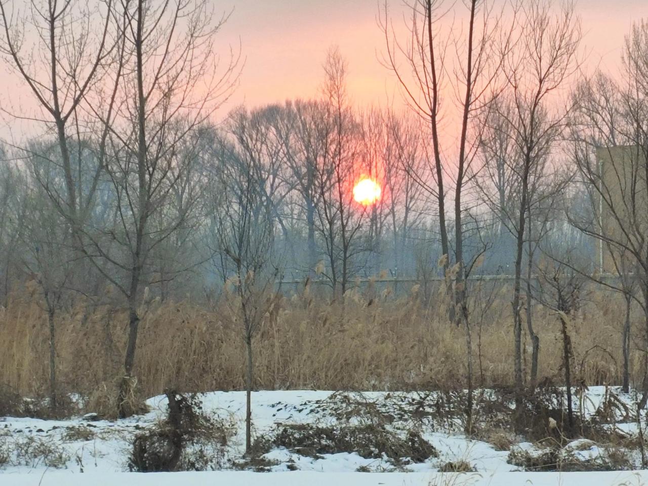 暮色降临时，抽油机的剪影在雪原上勾勒出永恒律动的曲线。注汽锅炉喷射的白雾升腾而起