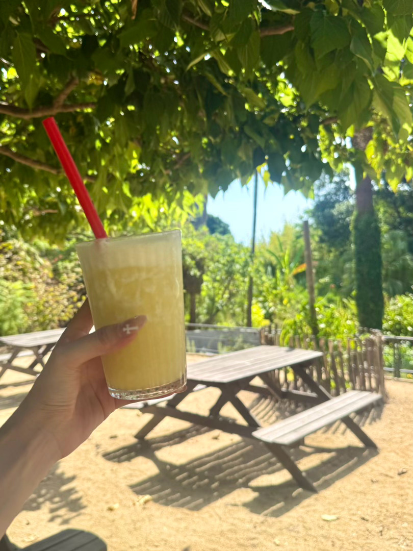 你好 请来一杯pineapple ​​​