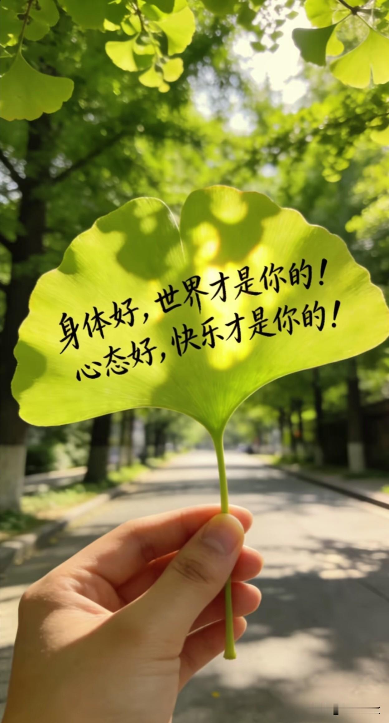 不知不觉，
2026年已然过半。
好像才刚过完年，转眼已是盛夏。

站在六月的末