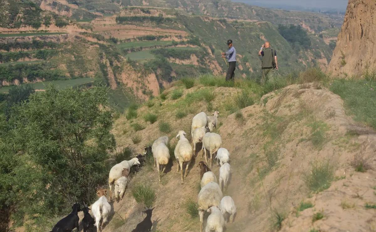 酒瓶还没摔完，

人就躺地上了，

他媳妇缩在灶台边抖。

这不是脾气差，是违法