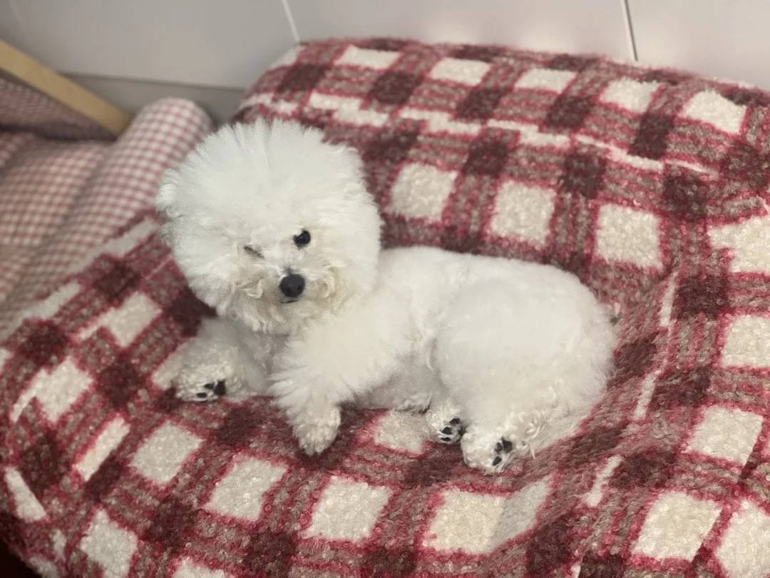 这是在跟我wink吗？