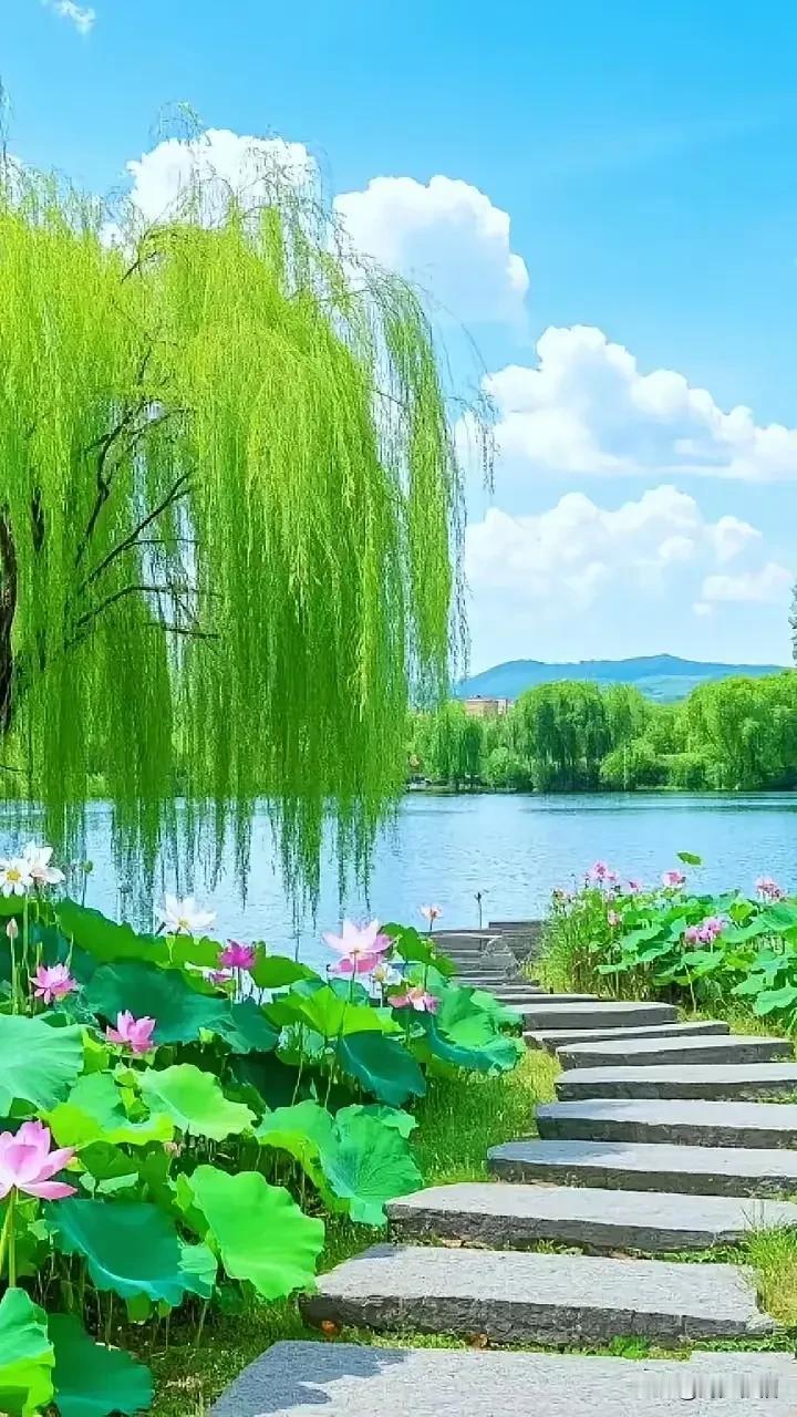 《西江月·晨寄问候》

一问候呈朝礼，
寸心遥寄安签。
相通灵犀语温甜，
幸福轻