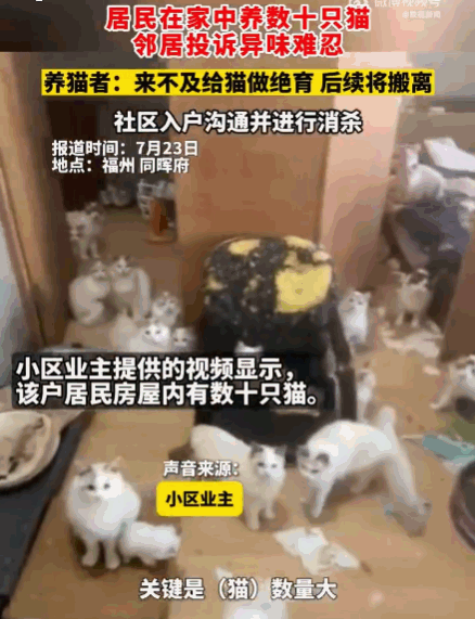 有爱心却没公德心！福州女子居家养猫泛滥，一己偏爱拖累整栋邻居

7月23日媒体曝