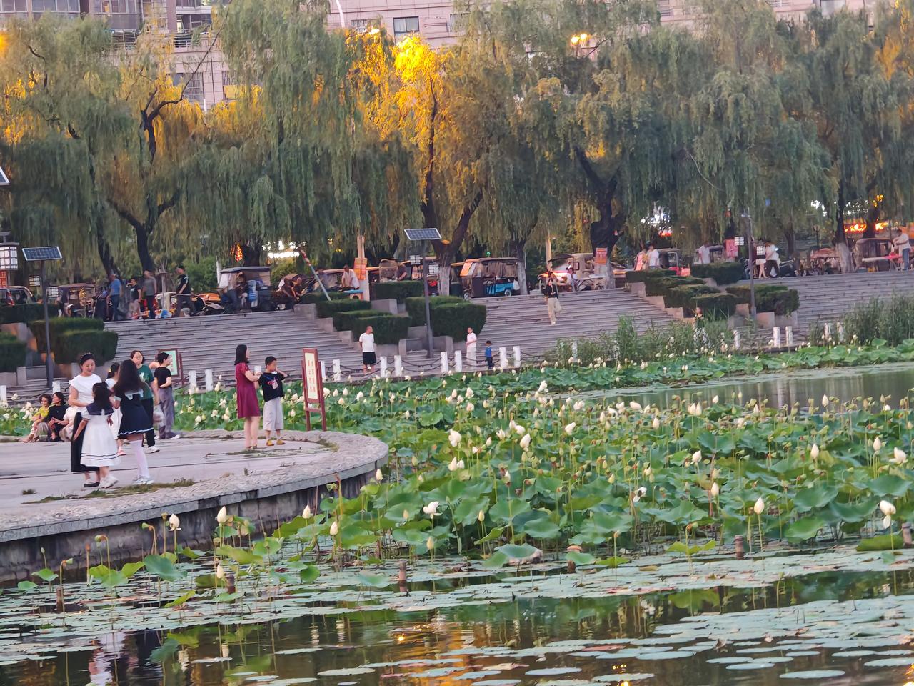 晚上去了文峰公园，才发现这里的夜生活才刚刚开始。公园里灯火通明，热闹非凡。
有一