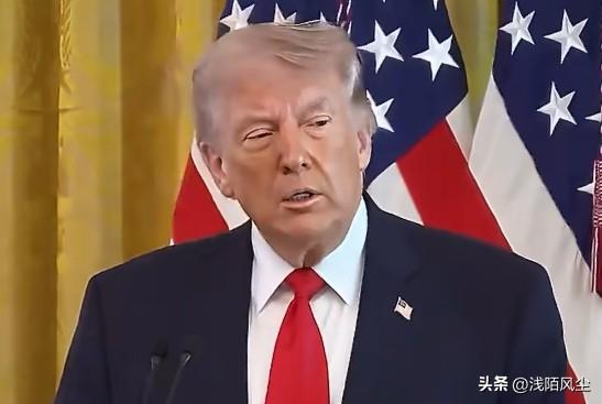 特朗普再批北约:“北约有些糟糕的盟友，因为我们提过一些要求，我们在北约上花费了数