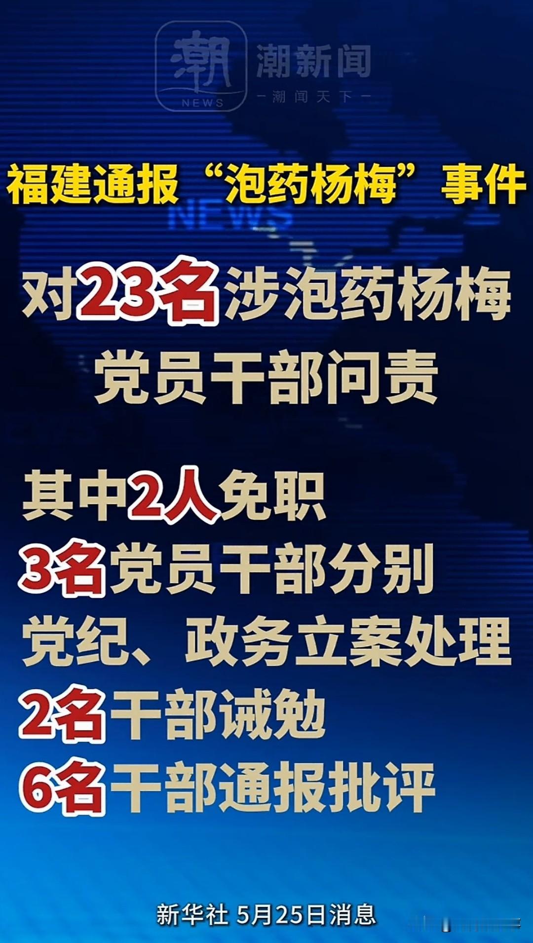 大快人心！
5月24号深夜，福建漳州龙海区终于公布了"泡药杨梅"事件的最终处理结
