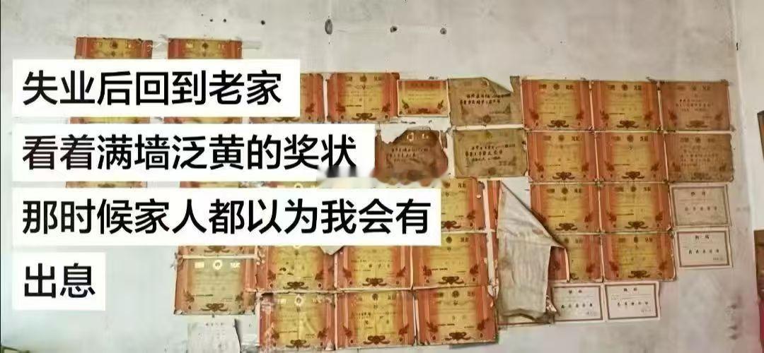 心酸的985.。。。 