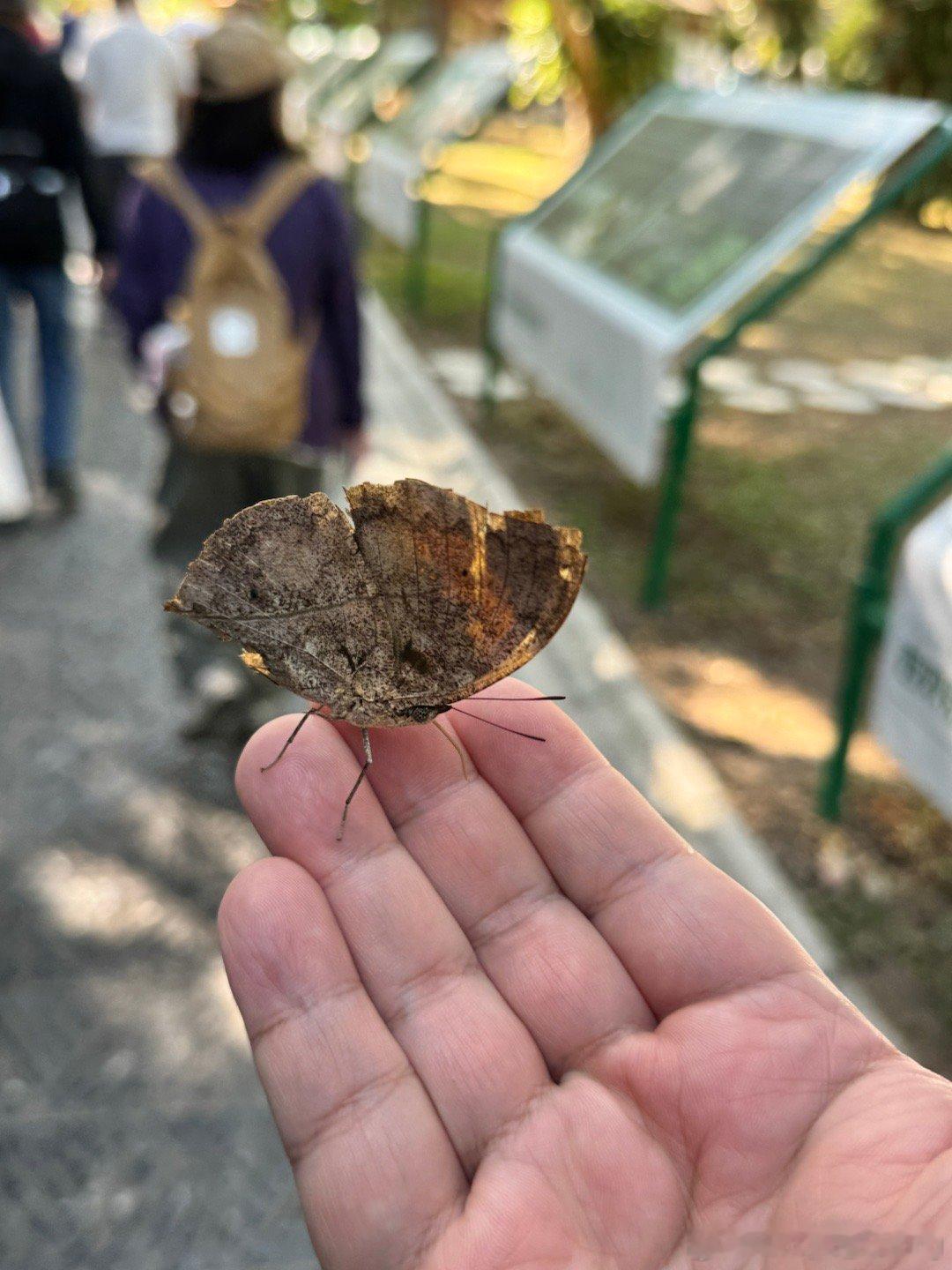 儿子在老婆那里管着，爸妈在走夜市，我躺在酒店露天后院面对澜沧江喝啤酒。我在休假，