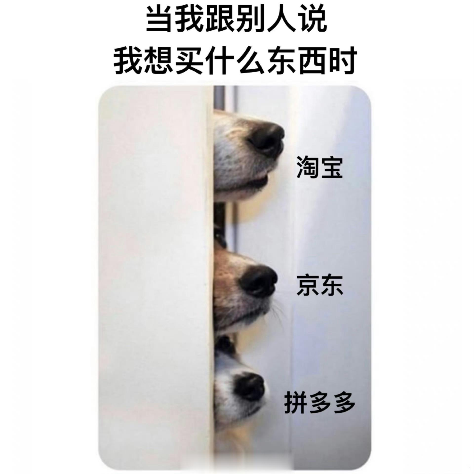 我就奇了个怪了 ​​​