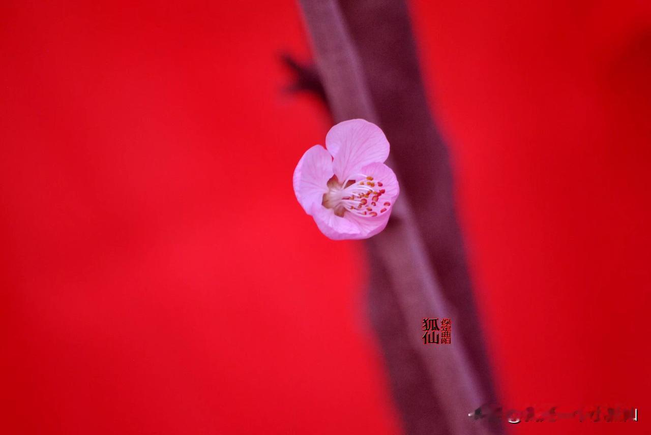 #为什么知道伴侣出轨了还不分手#
知道了又能怎么着？因为出轨离婚的不少，不过忍下