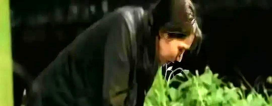 女演员拍吻戏，导演却被赶出片场？
你以为这是耍大牌，其实是“亲密指导”在发威，他