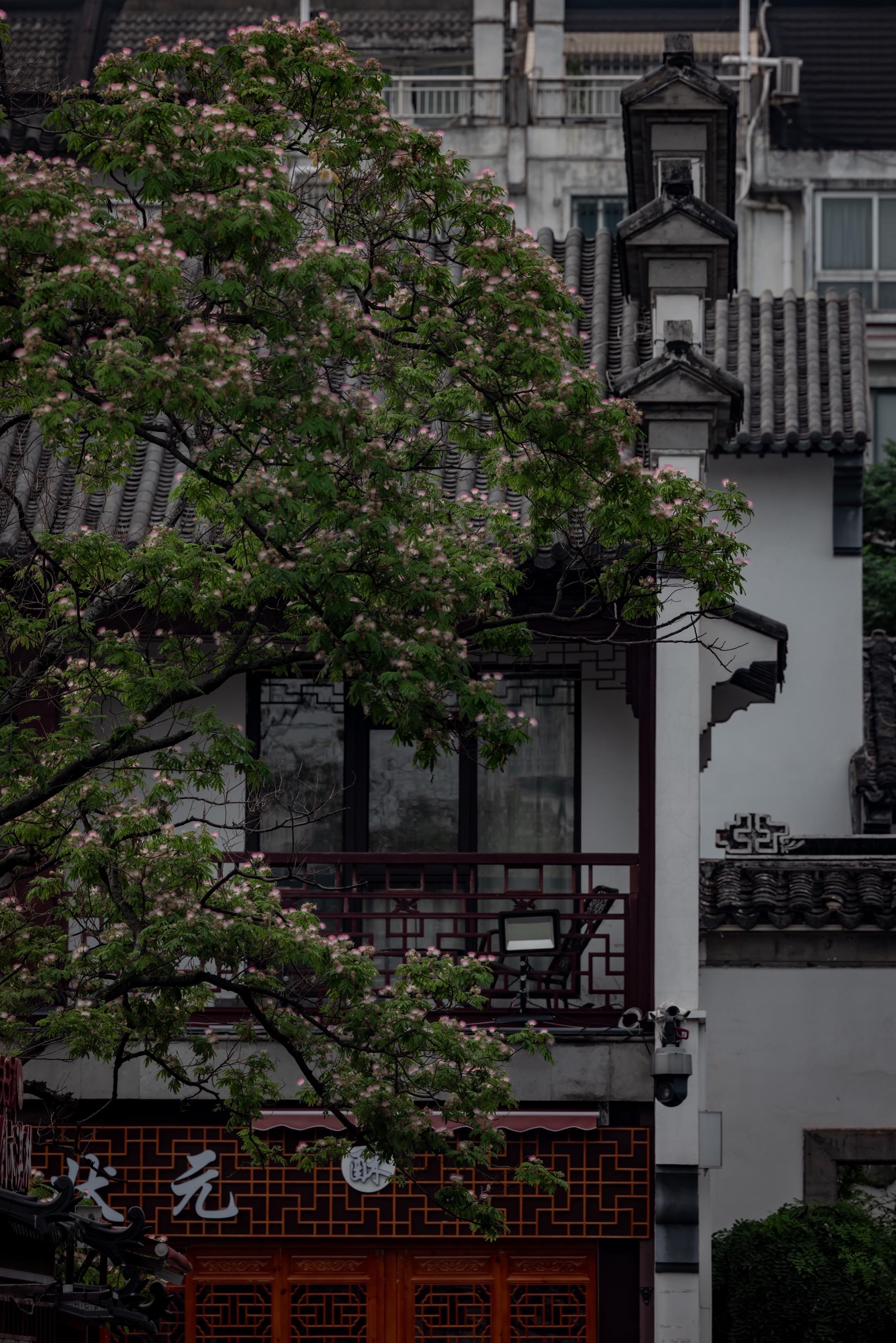 没有阳光的夫子庙 反而更有江南味。以前总觉得逛夫子庙要晚上看灯 这次阴...