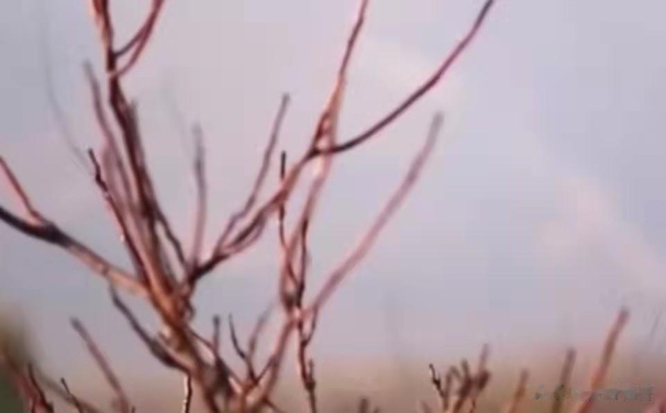 #你认为对作家来说最悲哀的事是什么#写出来的东西没人看，是最悲哀的事情。
你的文