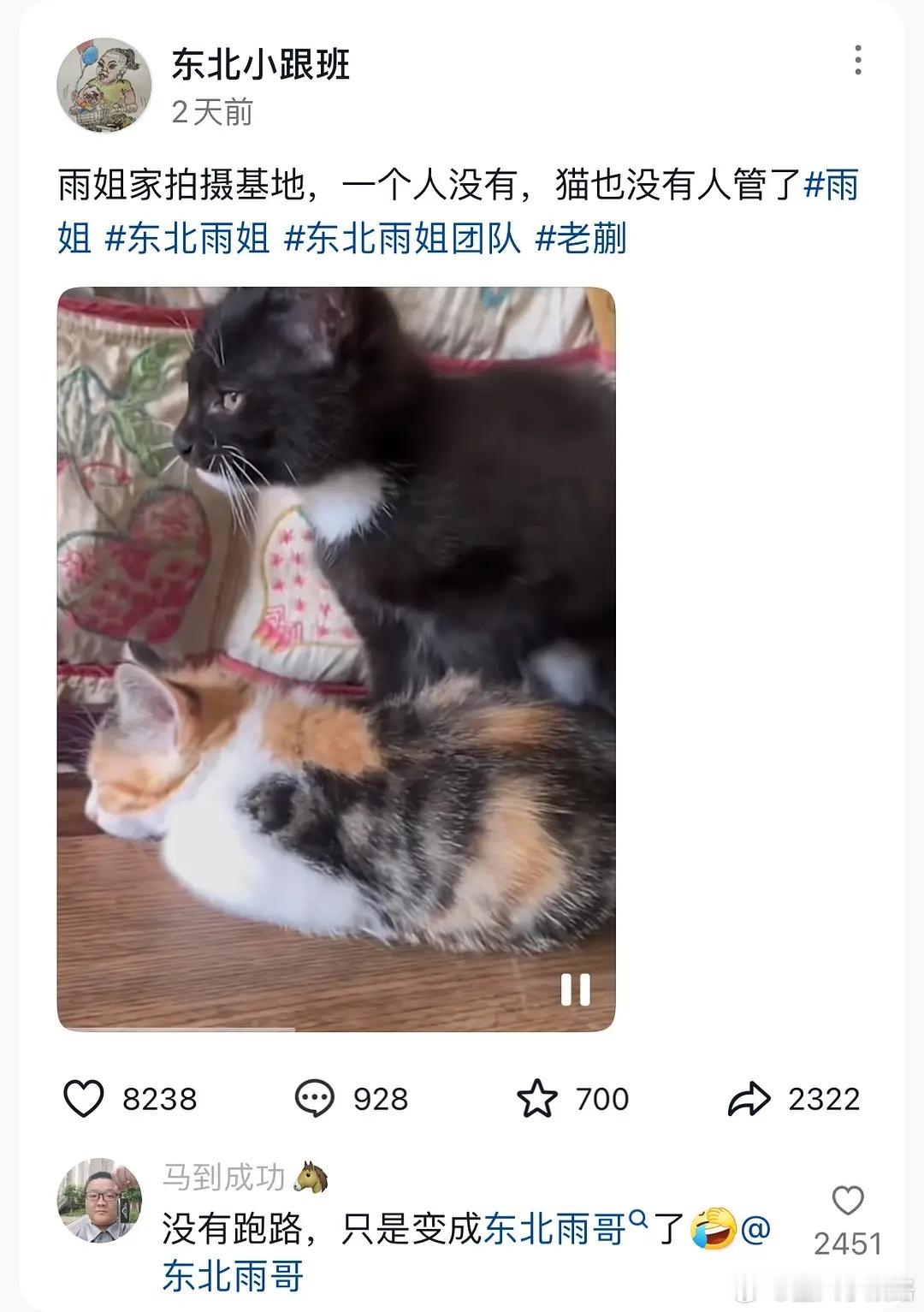 雨姐真塌了啊 ​​​