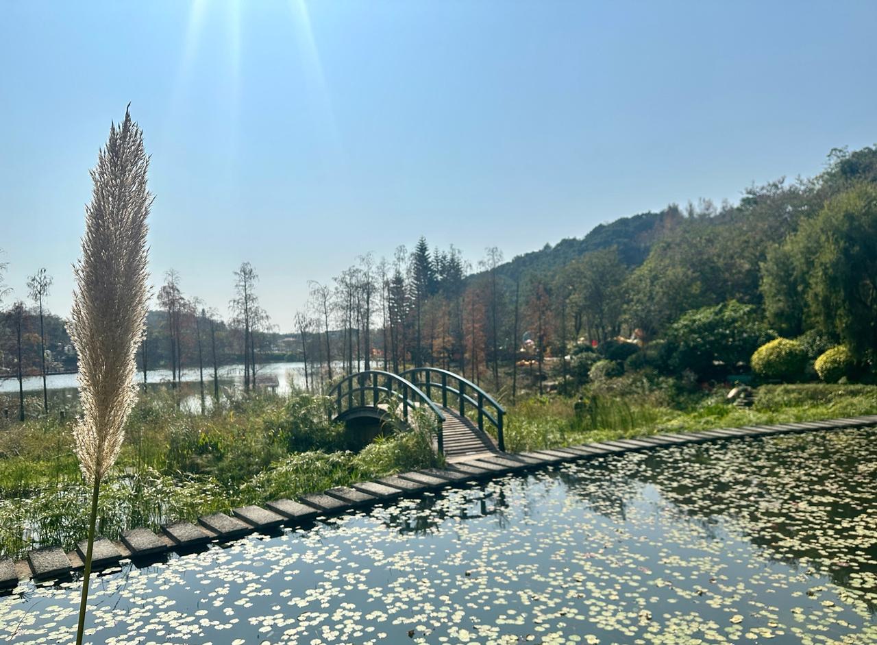 青秀山又火出圈啦！
📍南宁 青秀山风景区
今天爬山来打卡青秀山的花海
哇简直太