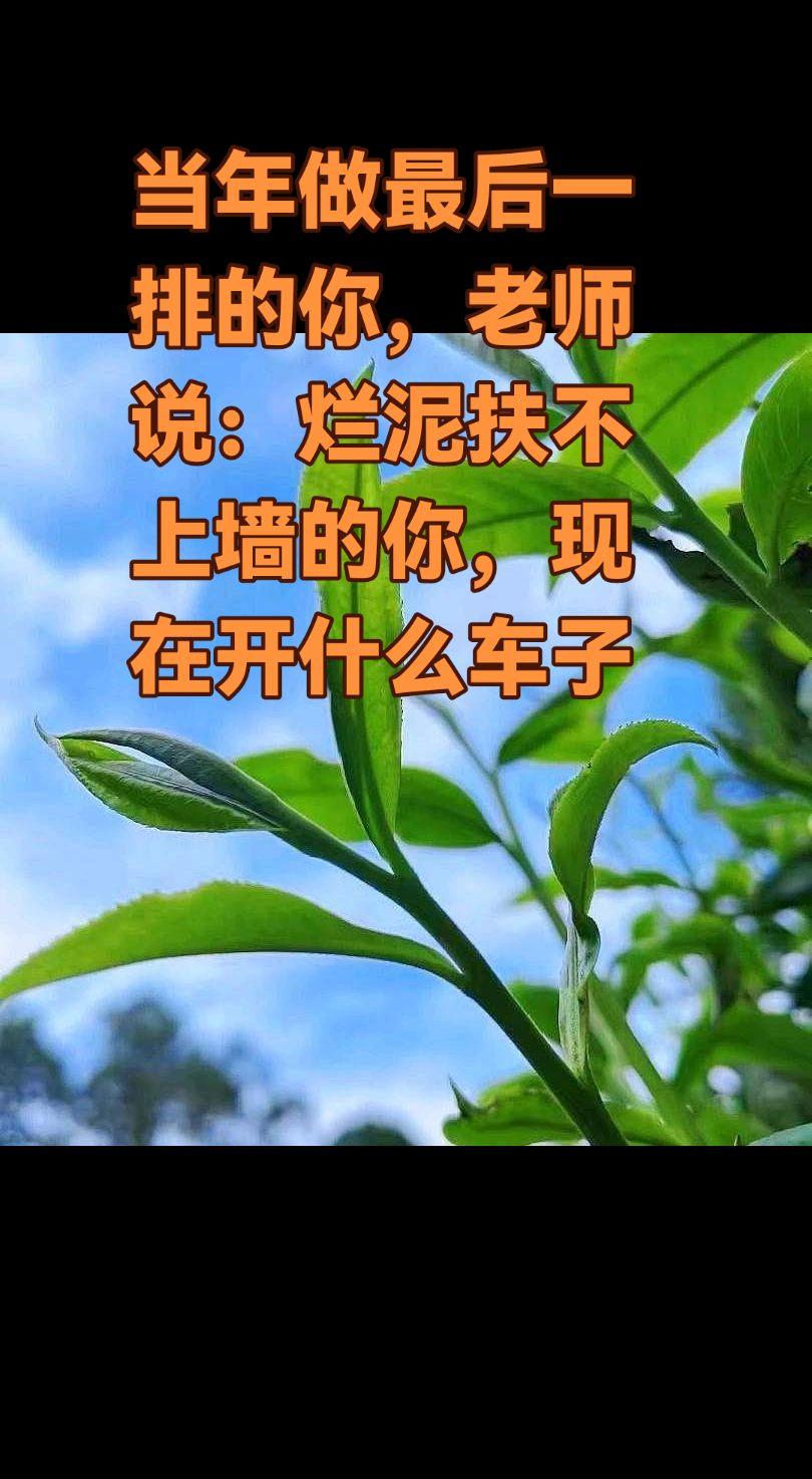 老话儿说得真没错——三十年河东，三十年河西。