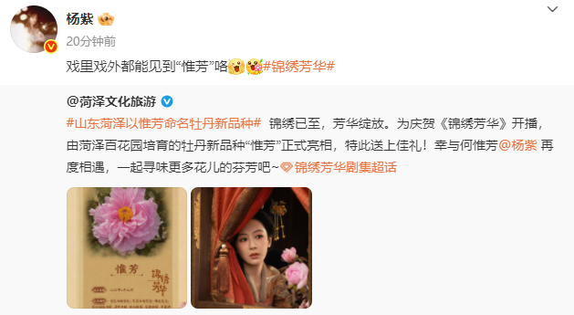 杨紫惟芳牡丹 杨紫惟芳牡丹真的是让我特别的期待了呀，怪不得杨紫说戏里戏外都能见到