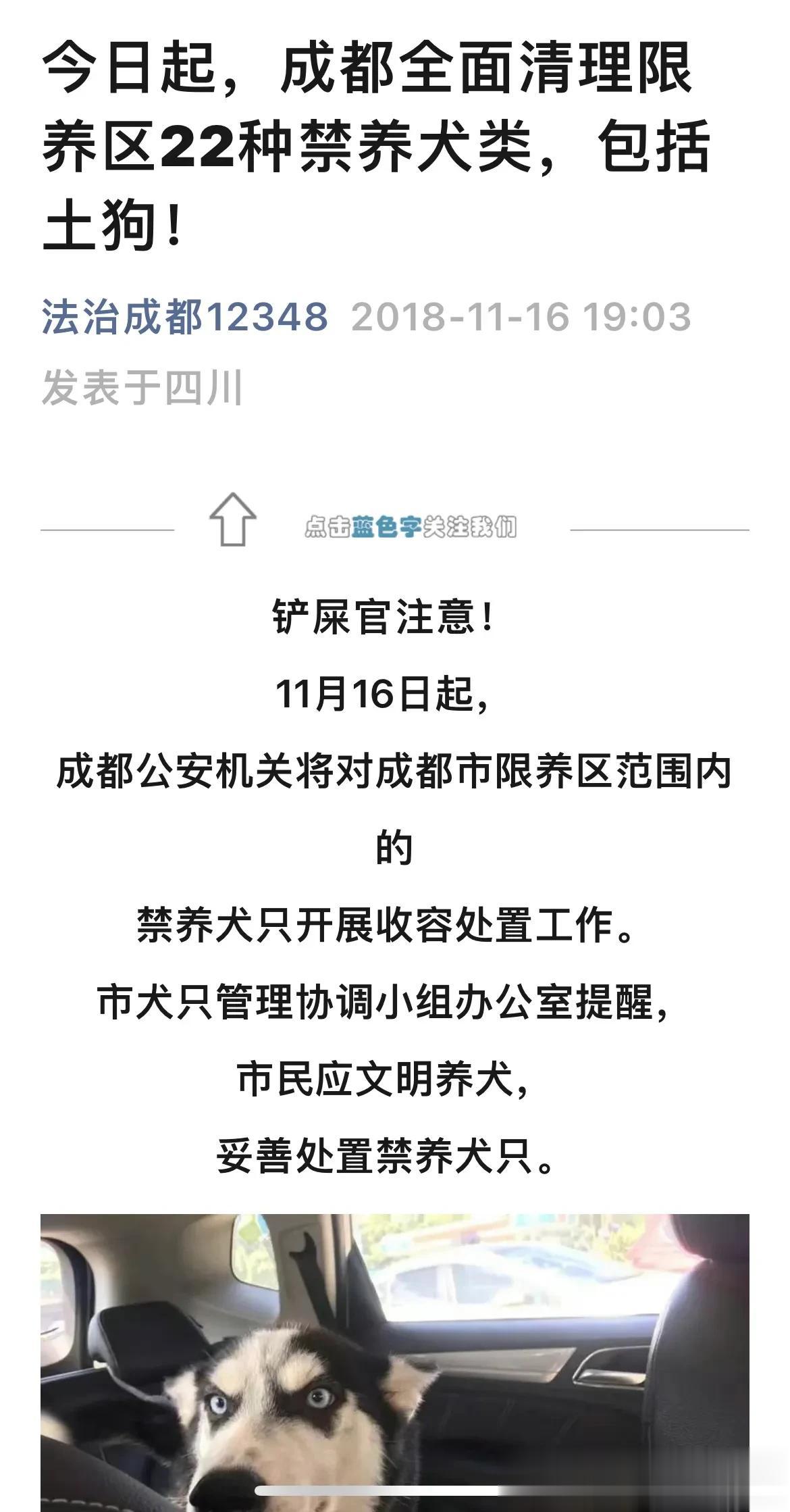 这次崇州恶狗咬伤孩子的事件，再次证明了限养犬只在操作层面的缺失。如图片显示，成都