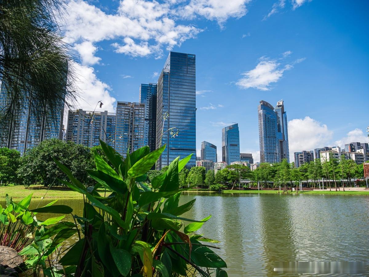 公司分立导致一个或一个以上的公司设立对于创设分立，还同时导致既有公司的消灭，其消