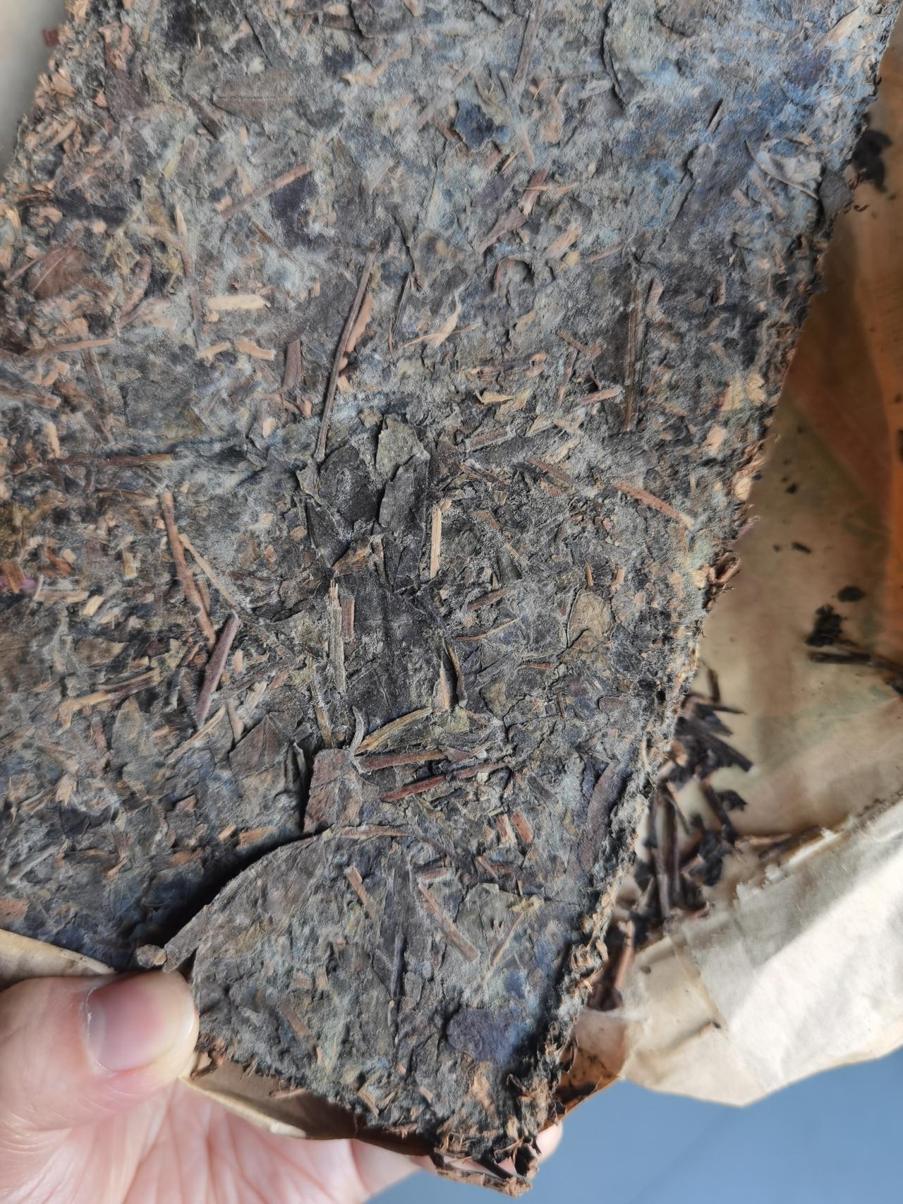 今天拿出朋友暑假旅游回来送我的砖茶，一看全都发霉了，估计是因为前段时间雨水太多，
