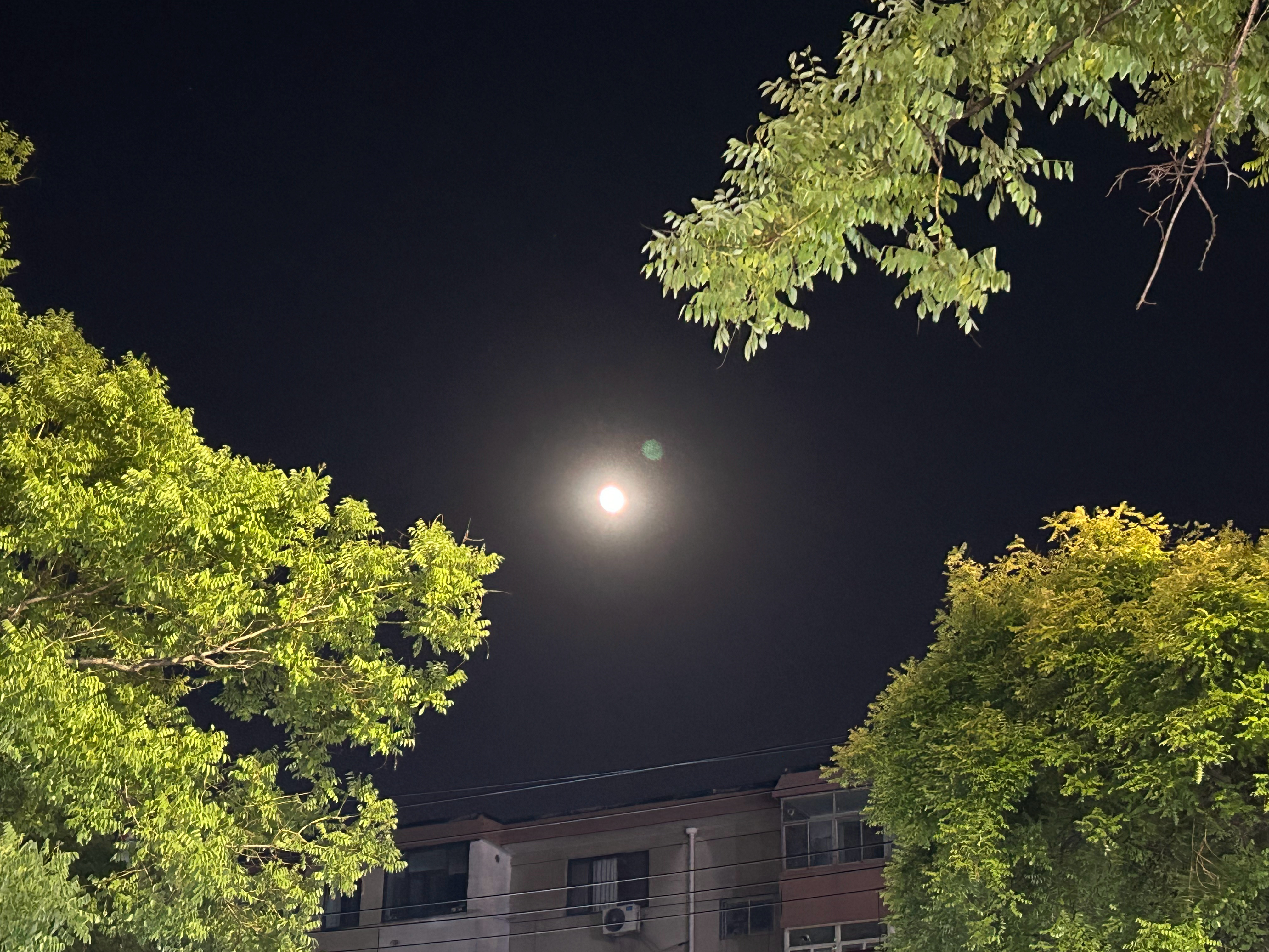 世界读书日  生活，本就是一场值得细细品味的盛宴。慢，不是消极懈怠，而是以更清醒